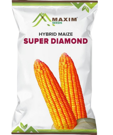 Maxim Seeds